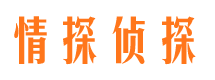 大安区侦探